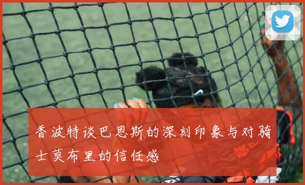 香波特谈巴恩斯的深刻印象与对骑士莫布里的信任感